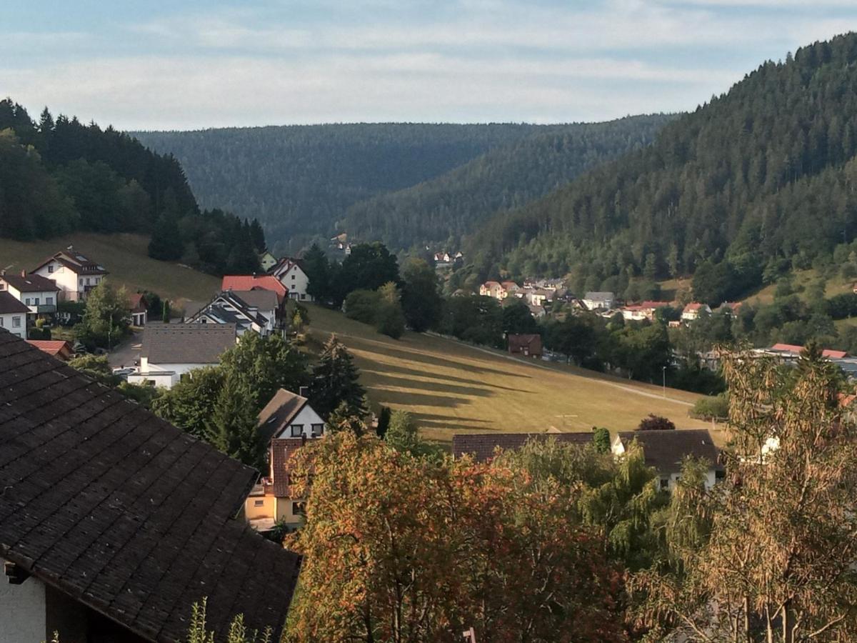 شقة Waldblick بيرسبرون المظهر الخارجي الصورة
